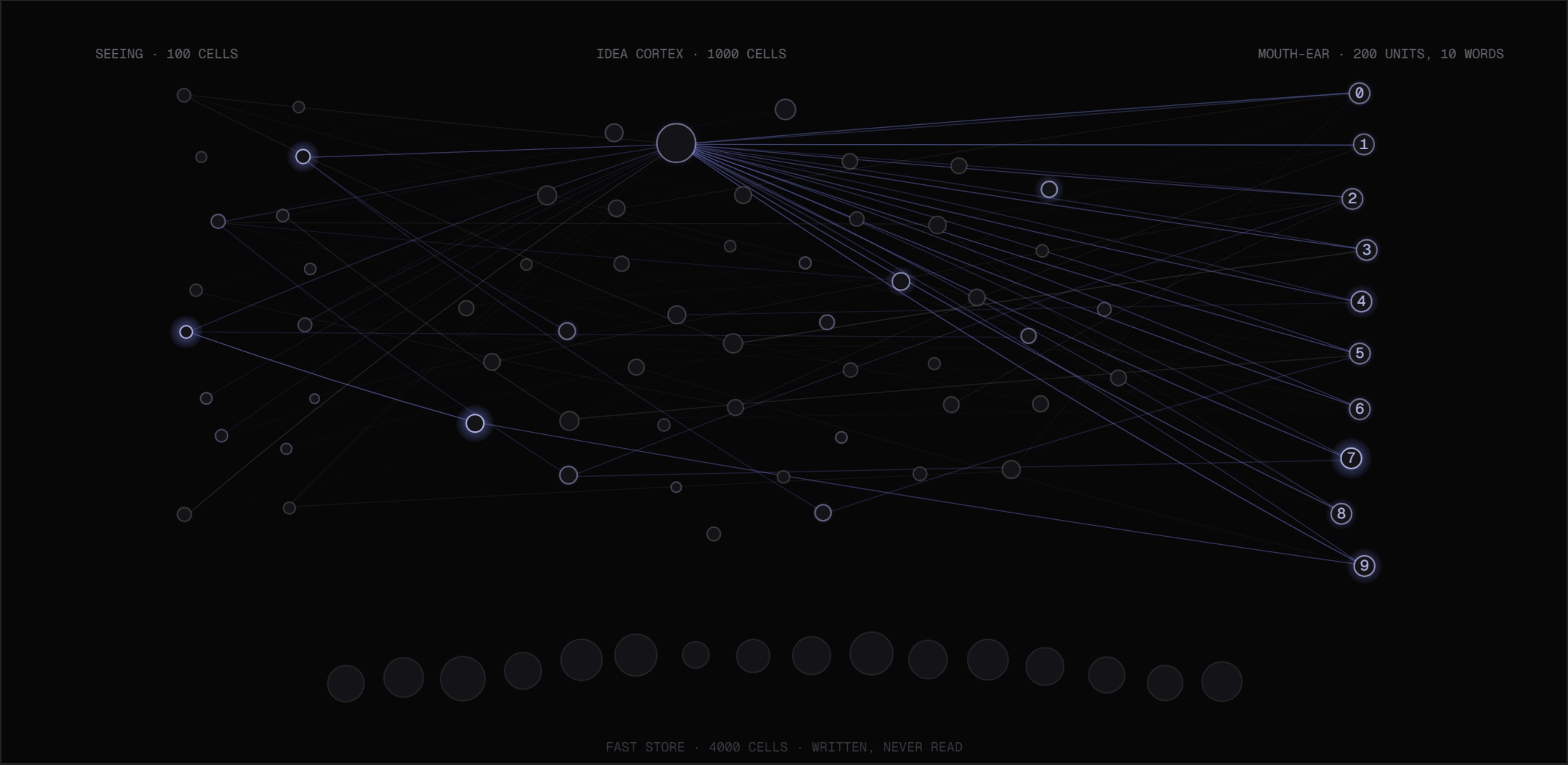 The Adam V2 cortex map: seeing-layer clusters left, the thousand-cell idea cortex glowing centre, ten word nodes right, and the unconnected fast store along the bottom